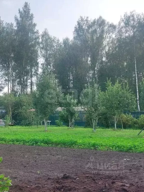 Участок в Вологодская область, Шекснинский муниципальный округ, ... - Фото 1