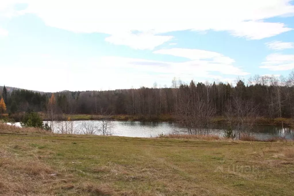 Участок в Свердловская область, Горноуральский городской округ, с. ... - Фото 2