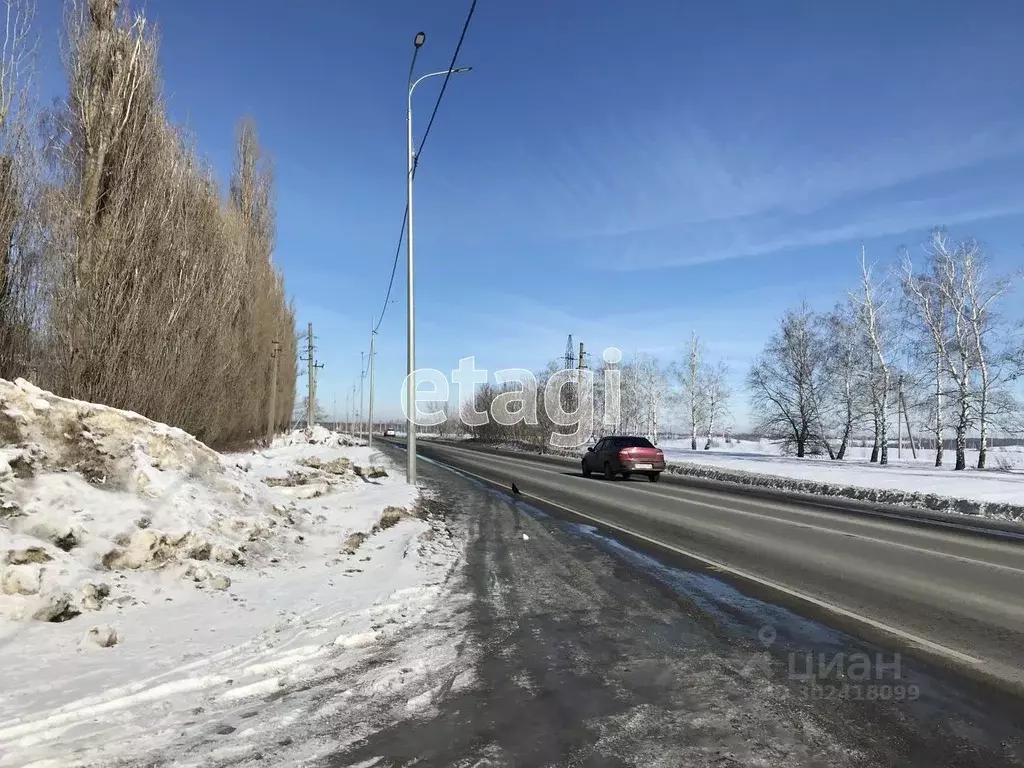 Участок в Саратовская область, Балашовский район, Хоперское ... - Фото 1