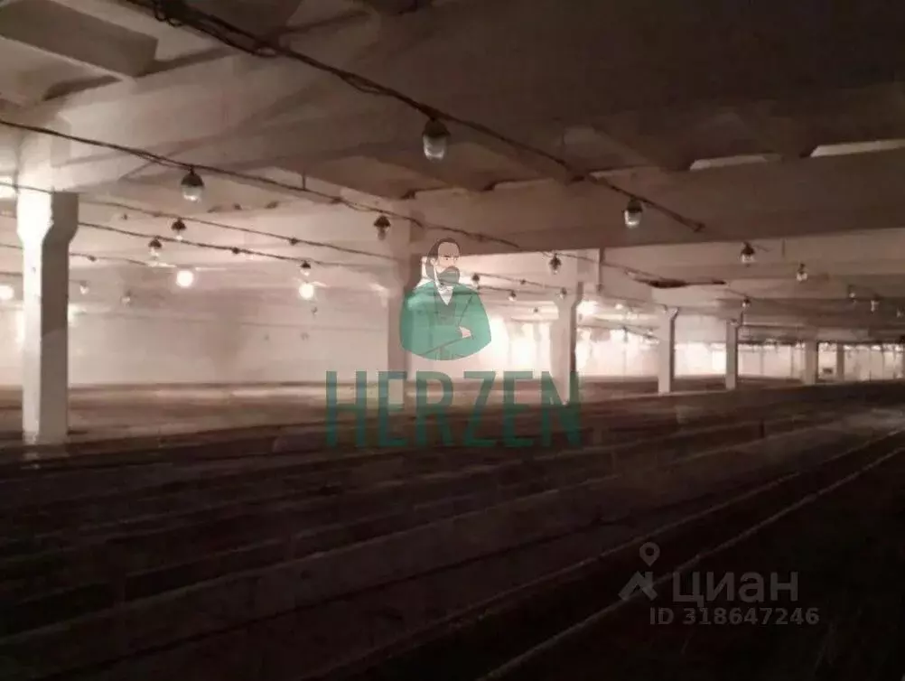 Склад в Московская область, Клин городской округ, с. Воздвиженское 15 ... - Фото 1