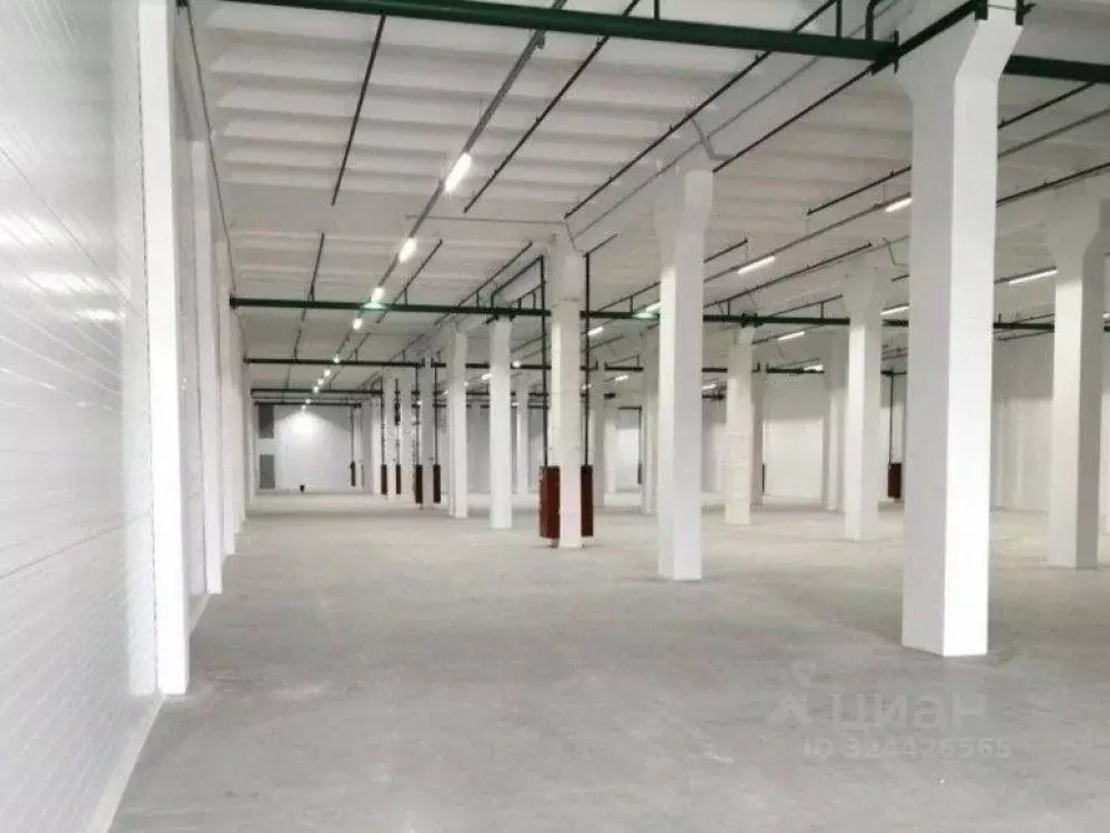 Склад в Москва Рябиновая ул., 53 (4000 м) - Фото 1