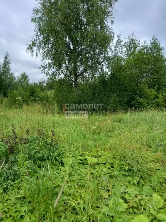 Участок в Свердловская область, Ачитский муниципальный округ, пос. ... - Фото 1