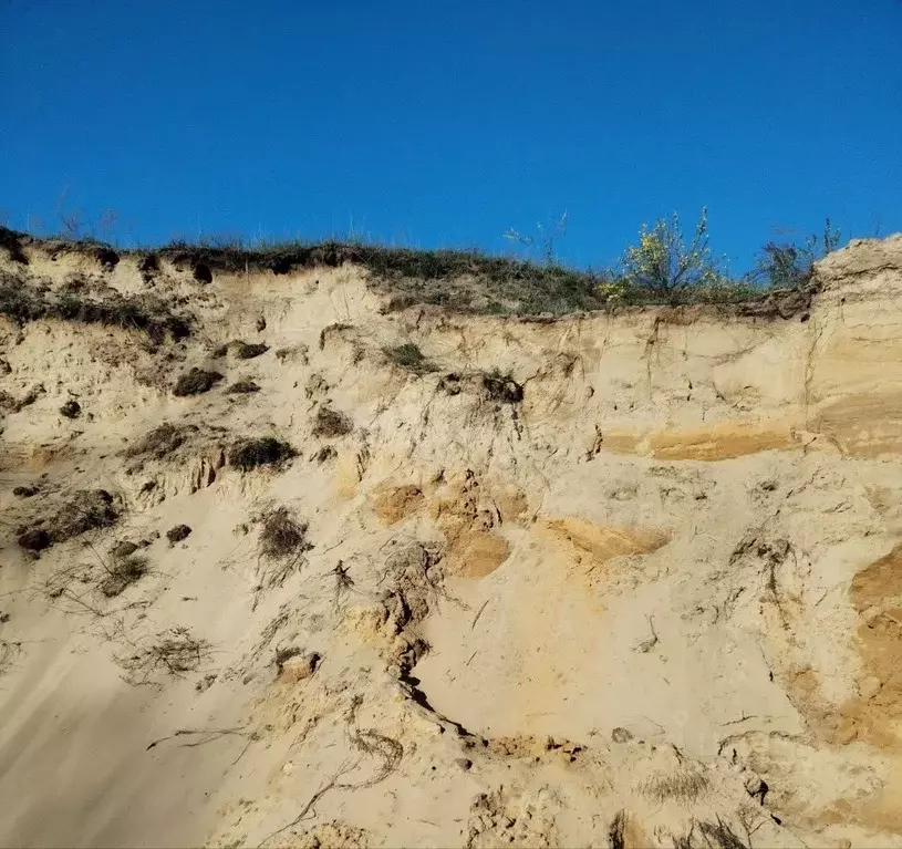 Участок в Ульяновская область, Мелекесский район, Тиинское с/пос, с. ... - Фото 1
