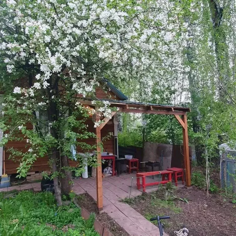 Дом в Новосибирская область, Новосибирск Труд садовое товарищество, ... - Фото 1