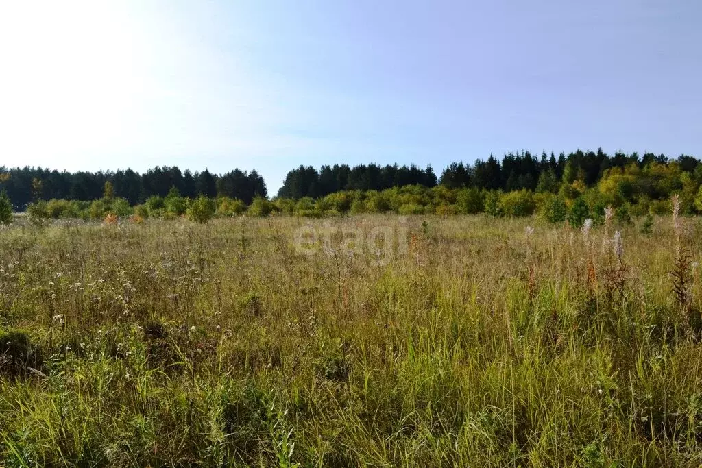 Участок в Свердловская область, Каменский муниципальный округ, село ... - Фото 2
