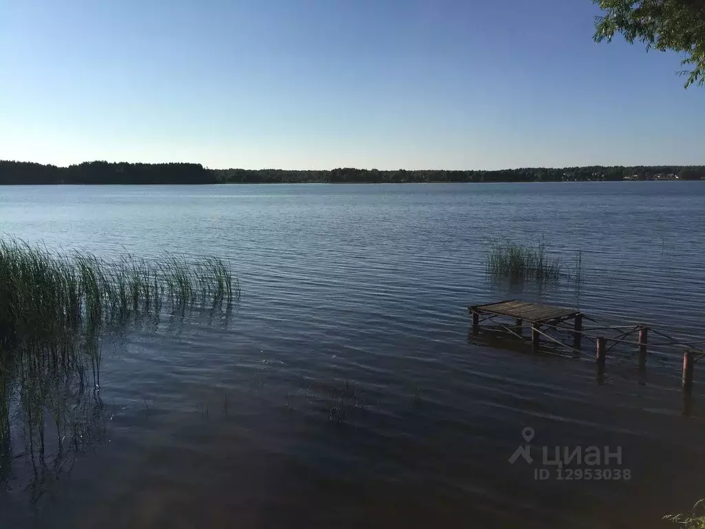 Участок в Тверская область, Конаковский муниципальный округ, с. ... - Фото 0