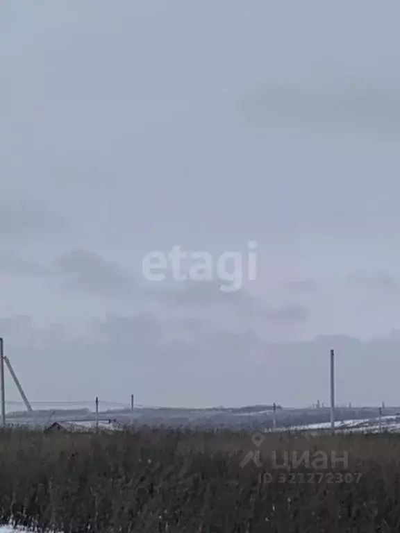 Участок в Белгородская область, Белгородский район, Головинское с/пос, ... - Фото 1