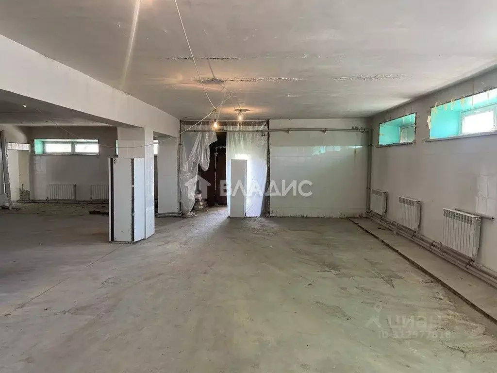 Помещение свободного назначения в Нижегородская область, Богородский ... - Фото 1