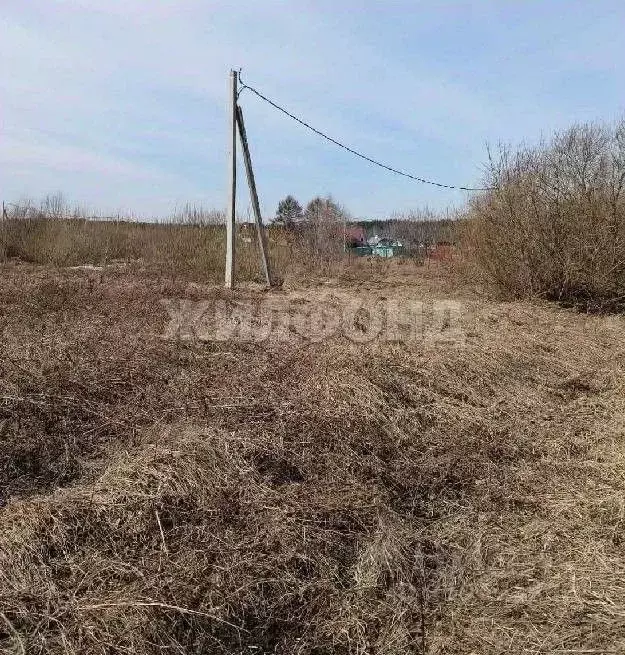 Участок в Новосибирская область, Новосибирский район, Новолуговской ... - Фото 1