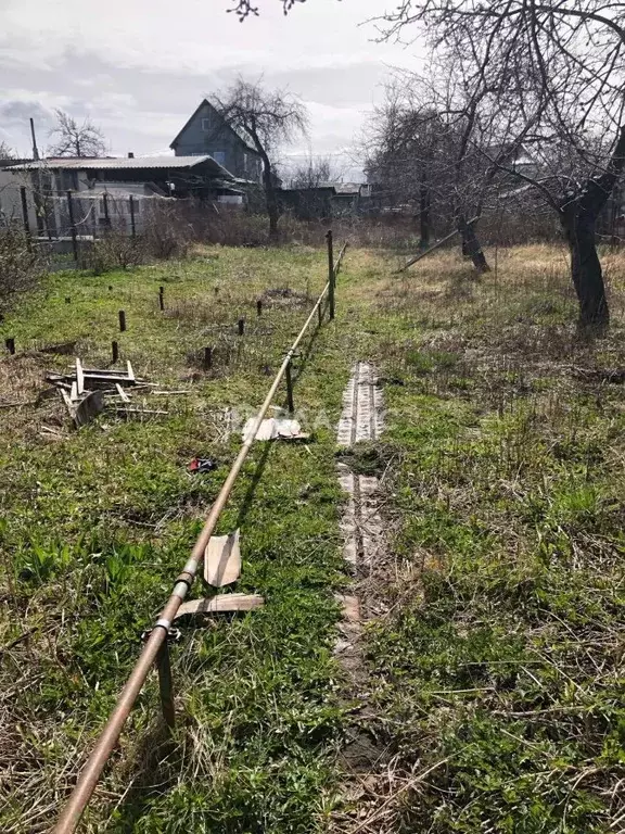 Участок в Калининградская область, Калининград Железнодорожник СНТ,  ... - Фото 1