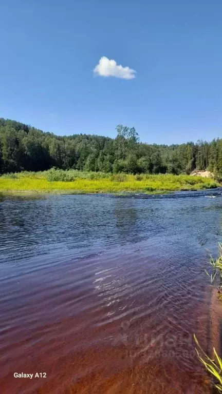Участок в Ленинградская область, Лодейнопольский район, Алеховщинское ... - Фото 2