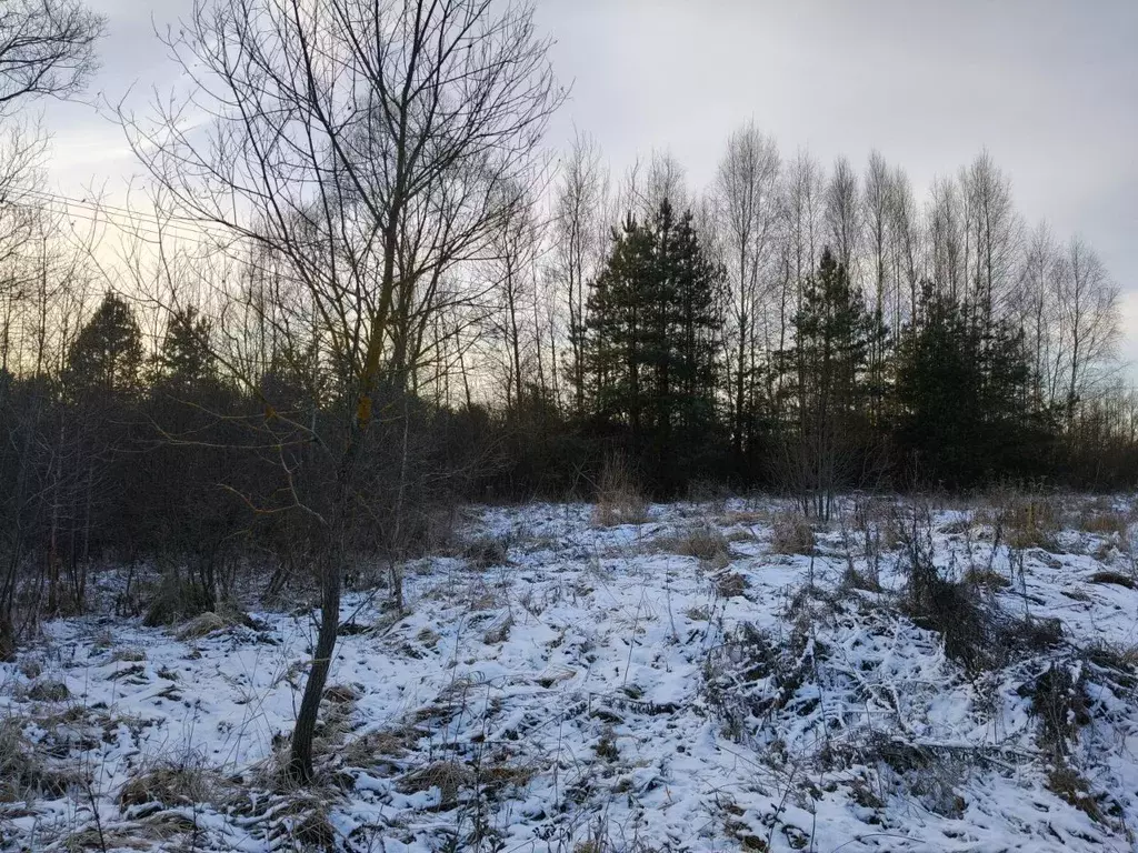 Участок в Московская область, Орехово-Зуевский городской округ, д. ... - Фото 1