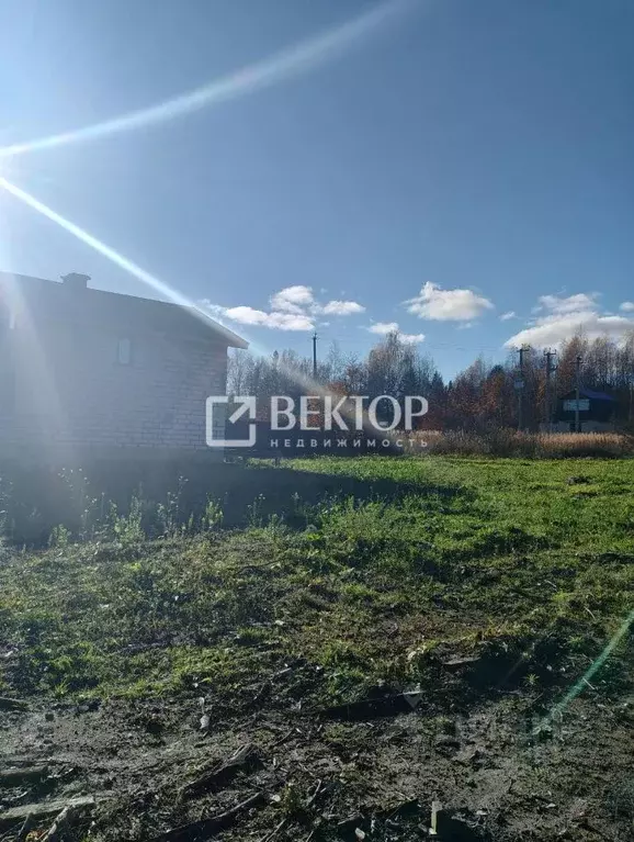 Участок в Костромская область, Костромской район, Караваевское с/пос, ... - Фото 1