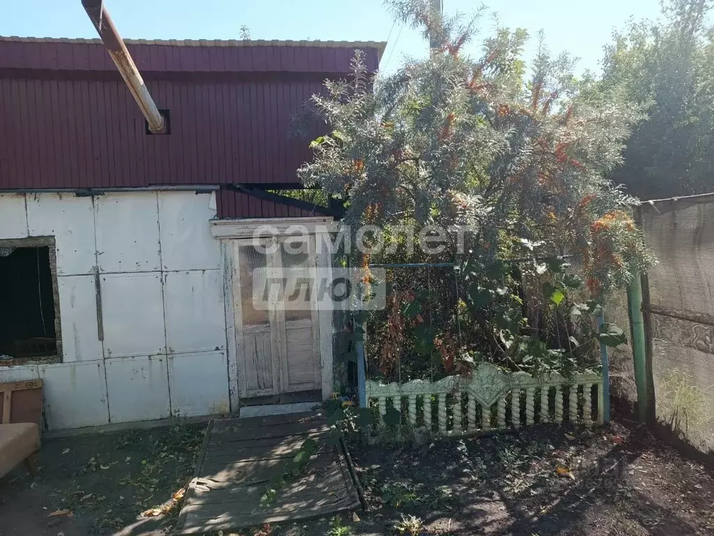 Дом в Воронежская область, Воронеж Славянка СНТ, ул. Хризантемная, 127 ... - Фото 0