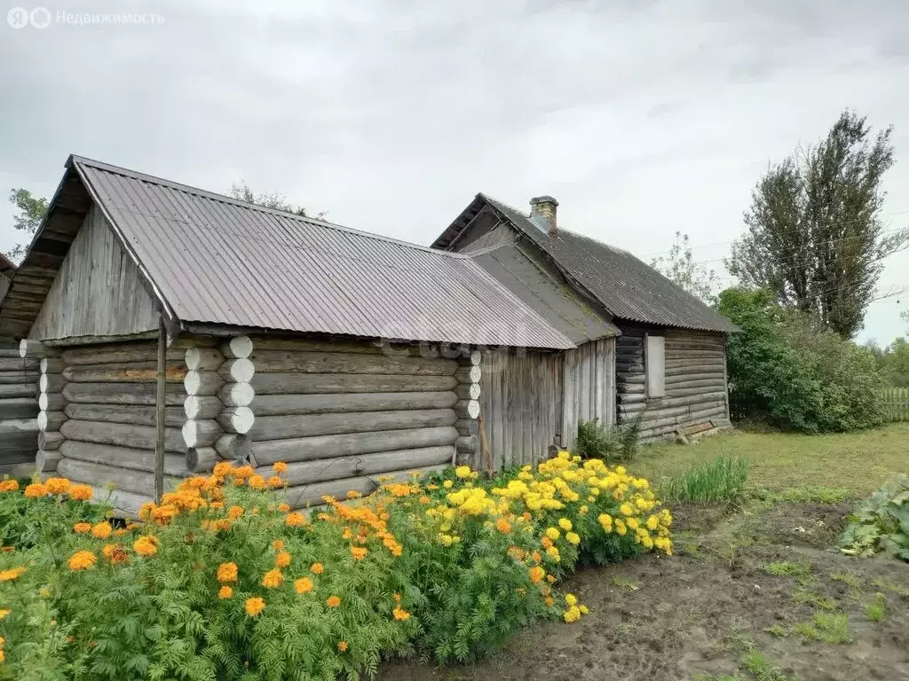 Дом в Киришский район, Глажевское сельское поселение, деревня Бор ... - Фото 1