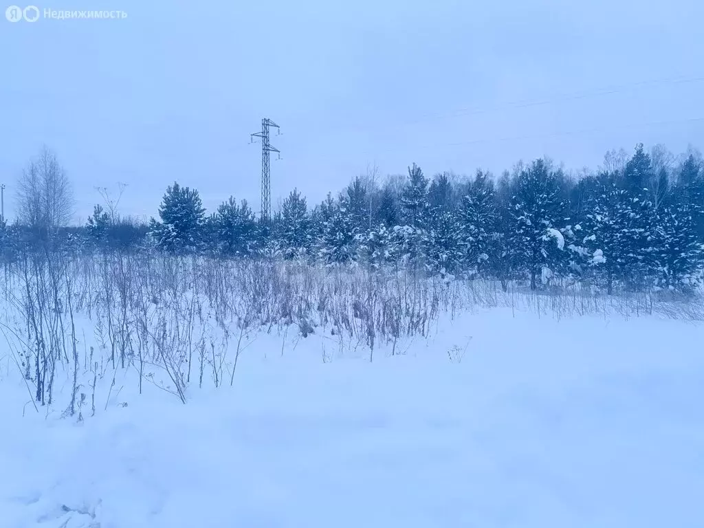 Участок в Свердловская область, Горноуральский муниципальный округ, ... - Фото 2