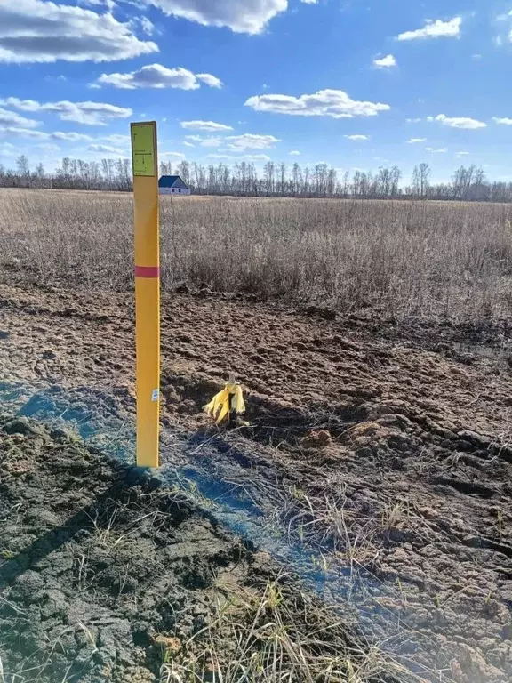 Участок в Тамбовская область, Тамбовский муниципальный округ, д. ... - Фото 1