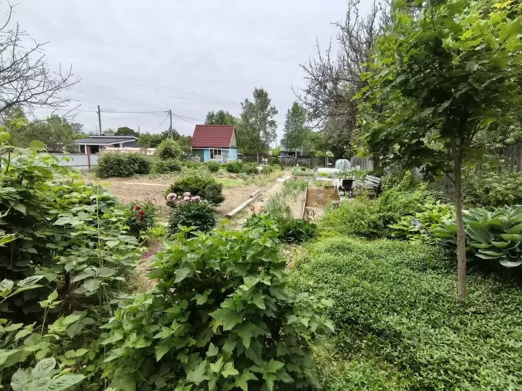 Участок в Сахалинская область, Южно-Сахалинск Картонажник СТ, 19 (8.5 ... - Фото 0