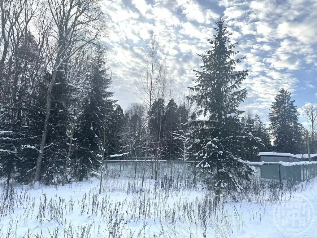 Участок в городской посёлок Сиверский, Красная улица (21.7 м) - Фото 1