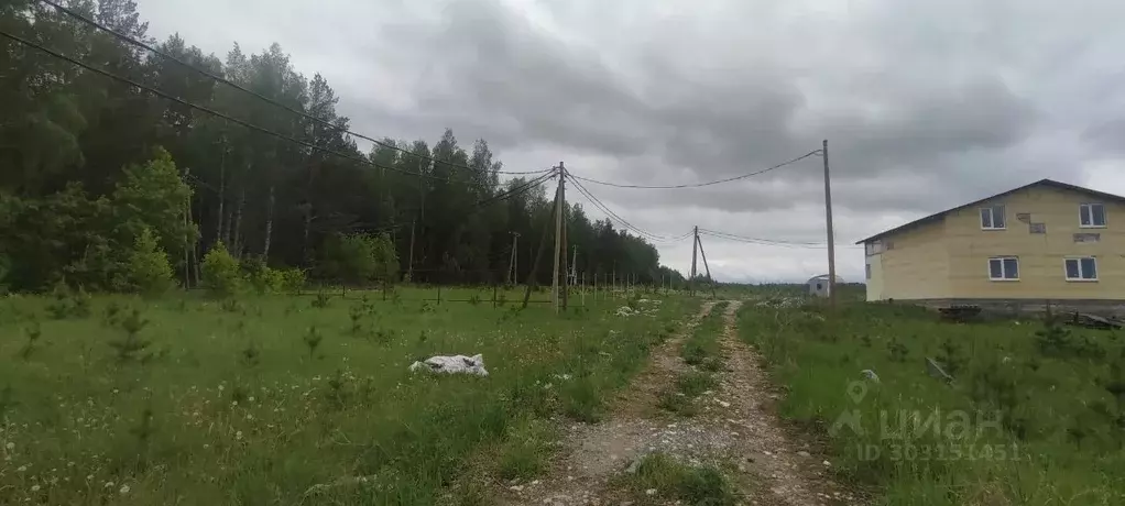 Участок в Свердловская область, Белоярский городской округ, пос. ... - Фото 0