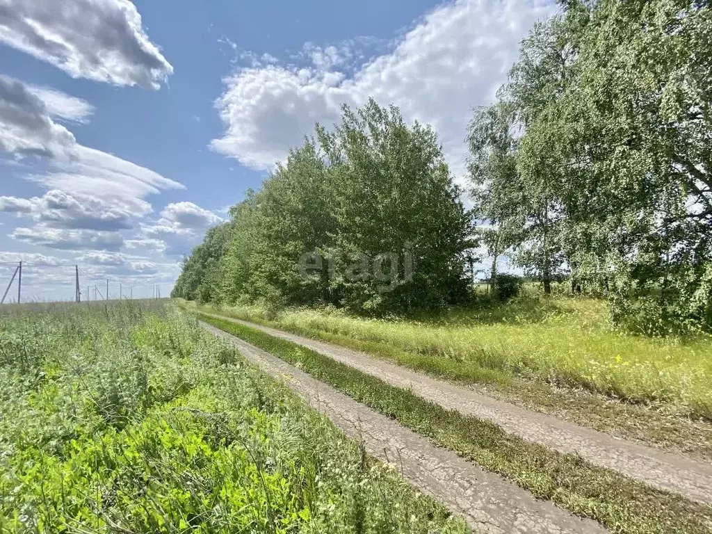 Участок в Тамбовская область, Тамбовский муниципальный округ, пос. ... - Фото 1