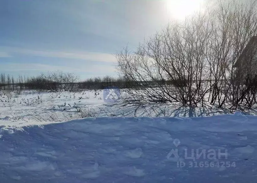 Участок в Тюменская область, Тюменский район, д. Есаулова ул. ... - Фото 0