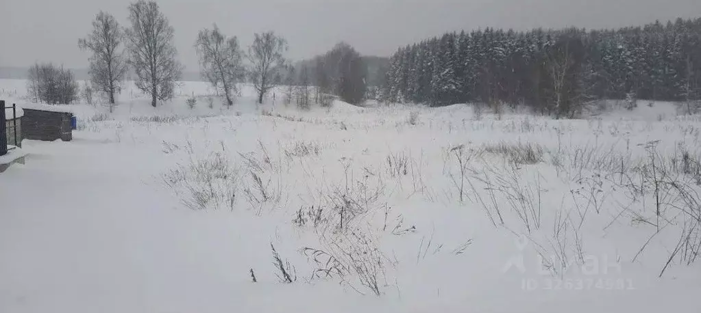 Участок в Московская область, Чехов муниципальный округ, д. Алексеевка ... - Фото 1