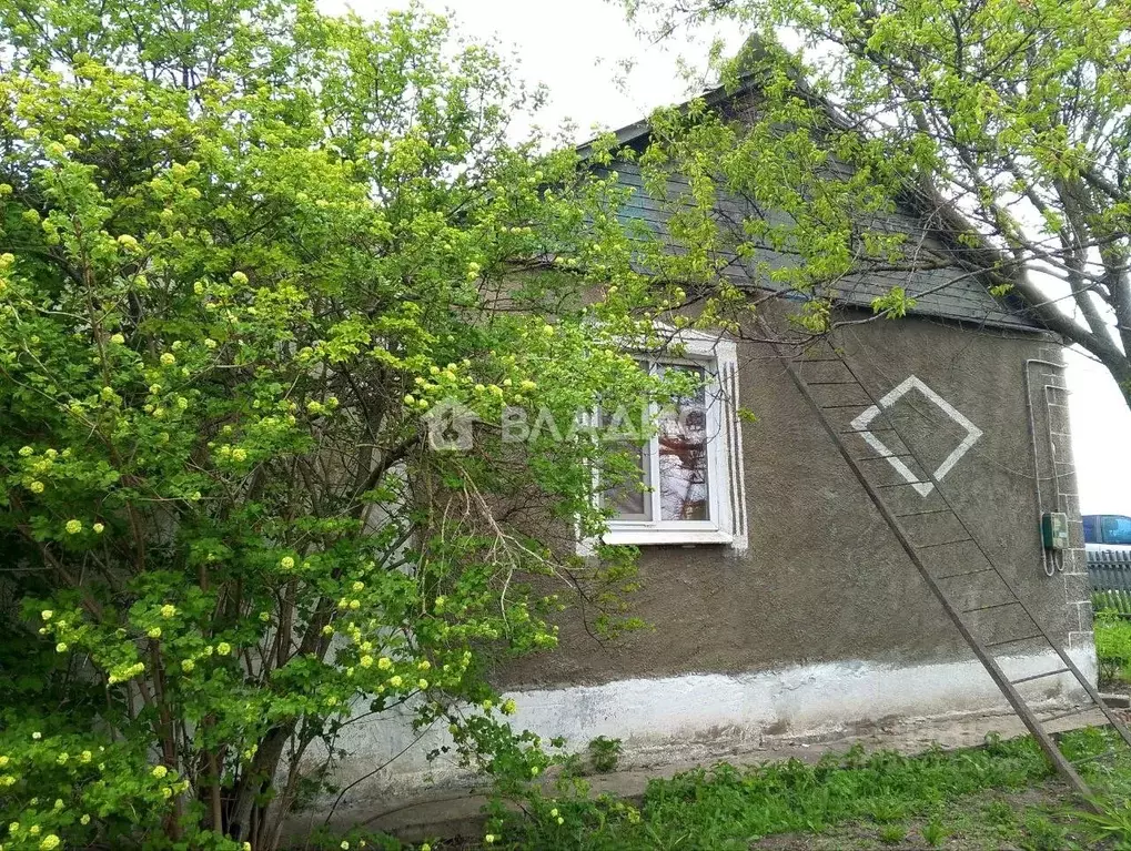 Дом в Белгородская область, Белгородский район, Никольское с/пос, с. ... - Фото 1