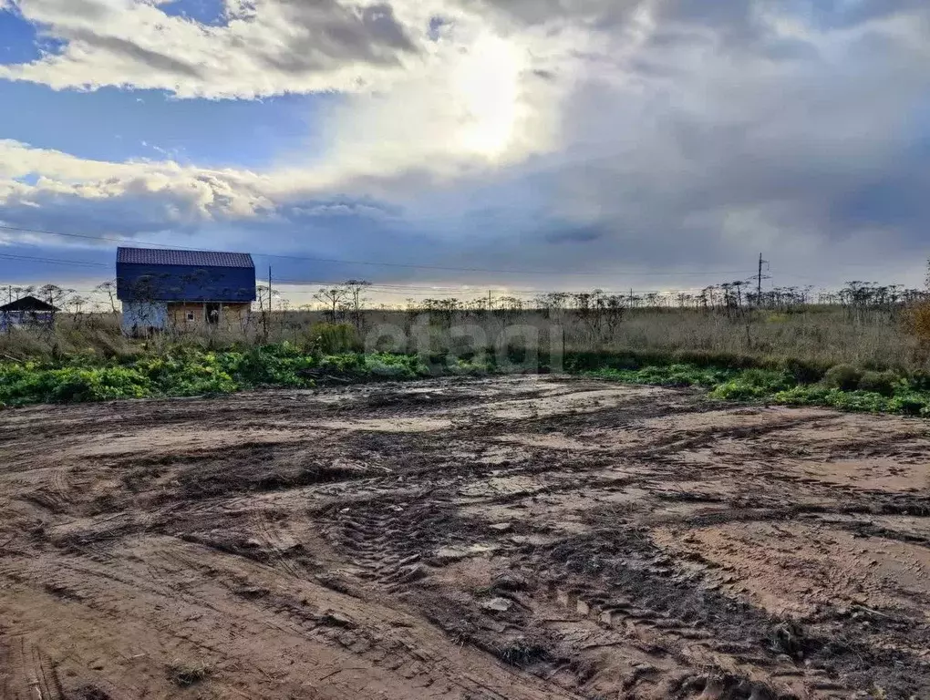 Участок в Псковская область, Псковский район, Завеличенская волость, ... - Фото 1