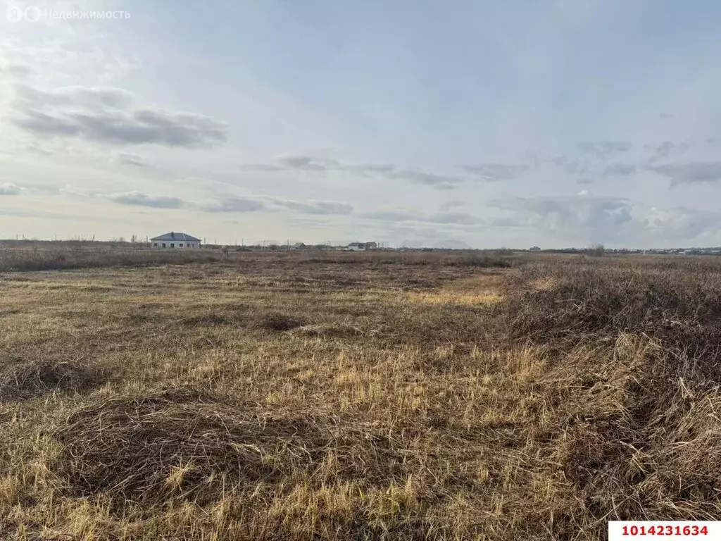 Дом в станица Родниковская, Майкопская улица, 287 (39.8 м) - Фото 1