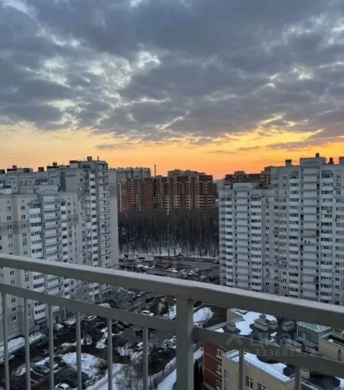 3-к кв. Московская область, Балашиха Авиаторов мкр, ул. Кожедуба, 4 ... - Фото 1
