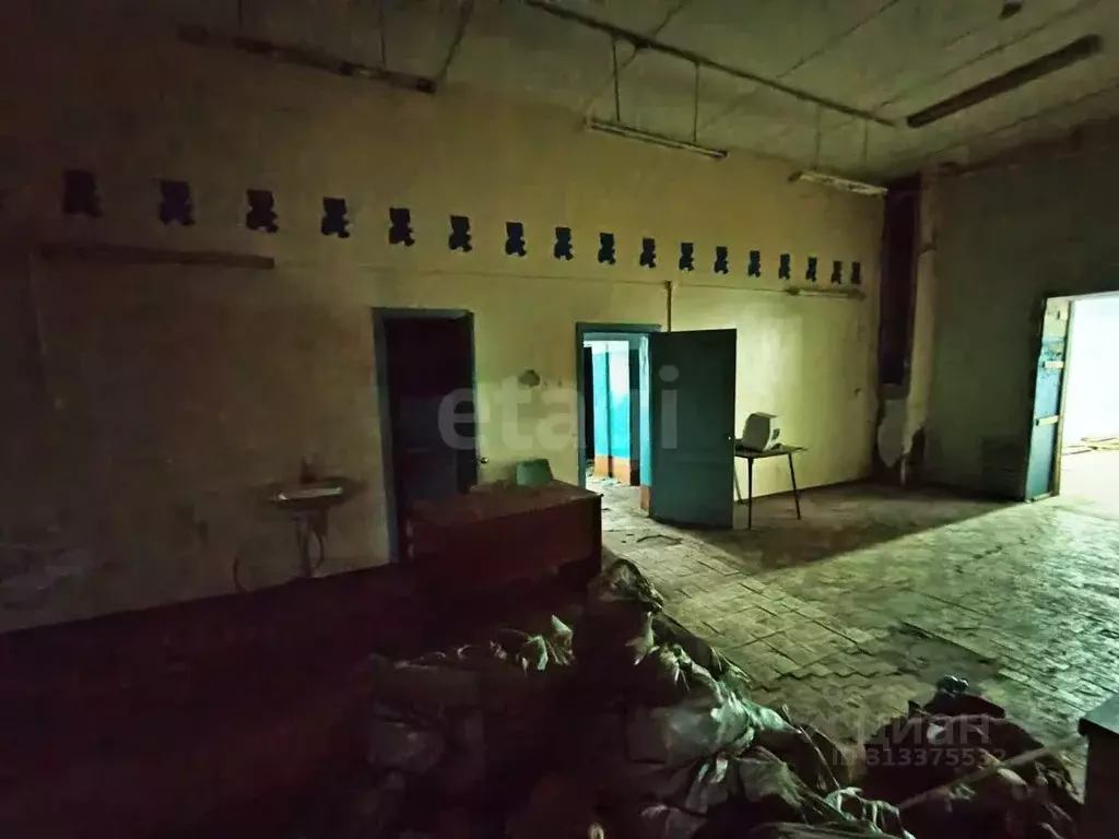 Торговая площадь в Архангельская область, Котлас ул. Менделеева, 14 ... - Фото 1