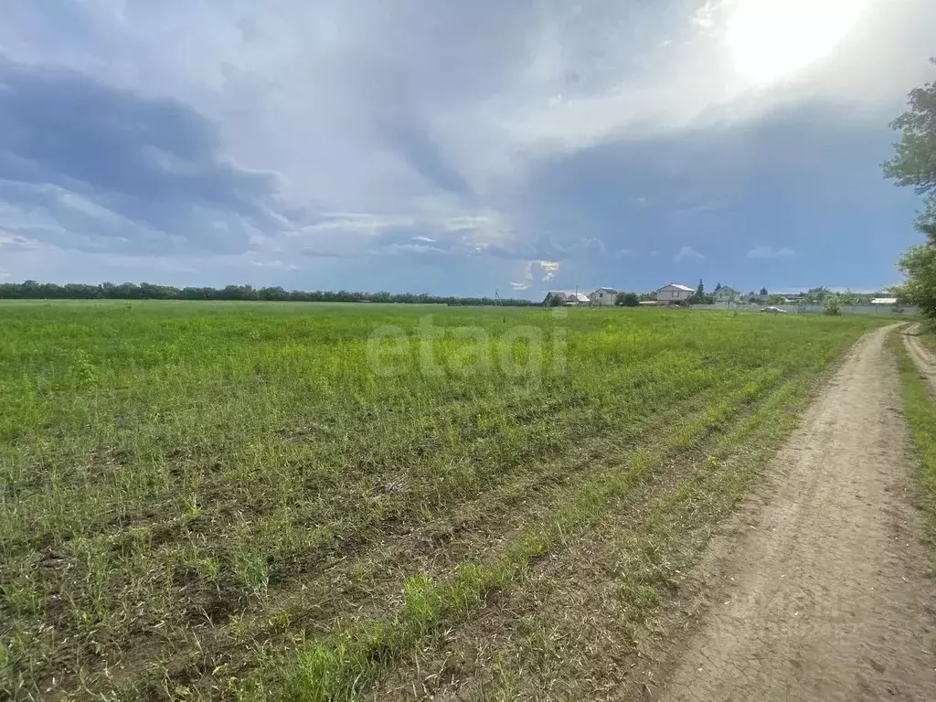 Участок в Самарская область, Ставропольский район, с. Подстепки ул. ... - Фото 1