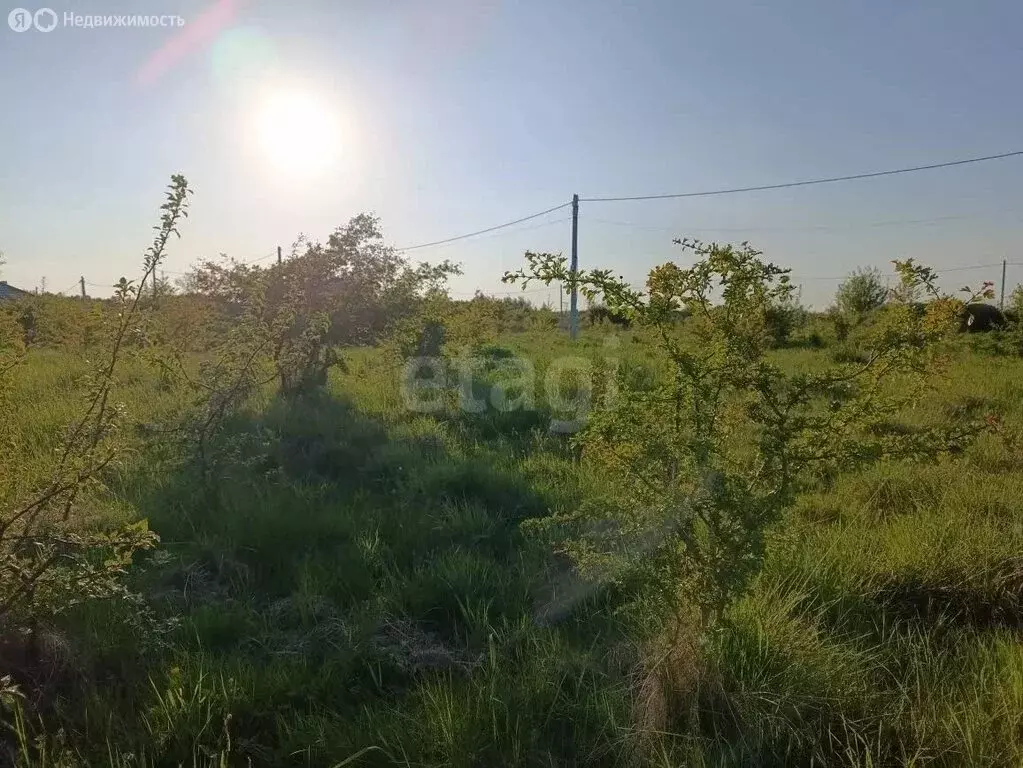 Участок в посёлок Поддубы, Почтовая улица (31 м) - Фото 2