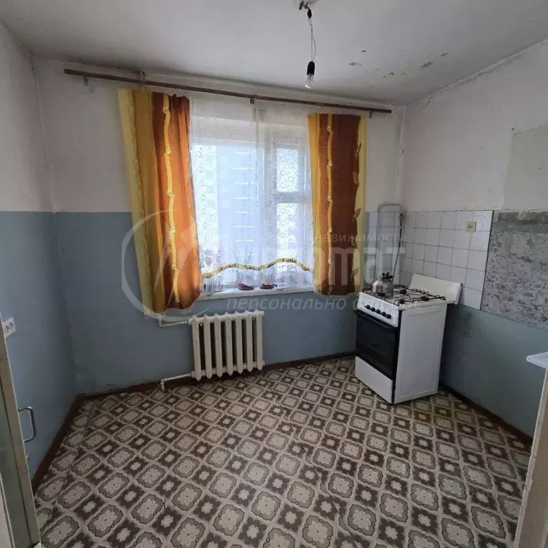 1-к кв. Курганская область, Курган ул. Криволапова, 21 (32.8 м) - Фото 2