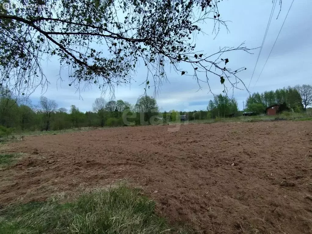 Участок в Будогощское городское поселение, деревня Змеева Новинка, ... - Фото 2