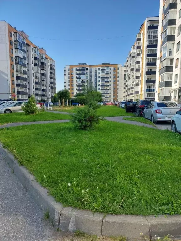 Студия Псковская область, Псковский муниципальный округ, д. Борисовичи ... - Фото 2