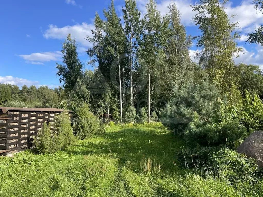 Участок в Ленинградская область, Приозерский район, Ларионовское ... - Фото 2