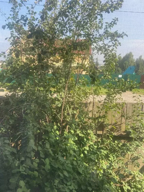 Дом в Пермский край, Пермский муниципальный округ, пос. Юг ул. ... - Фото 2