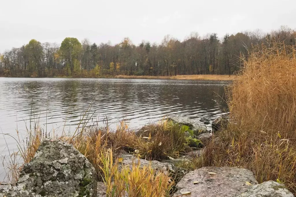 Дом в Ленинградская область, Выборг Октябрьская ул., 60В (289 м) - Фото 2