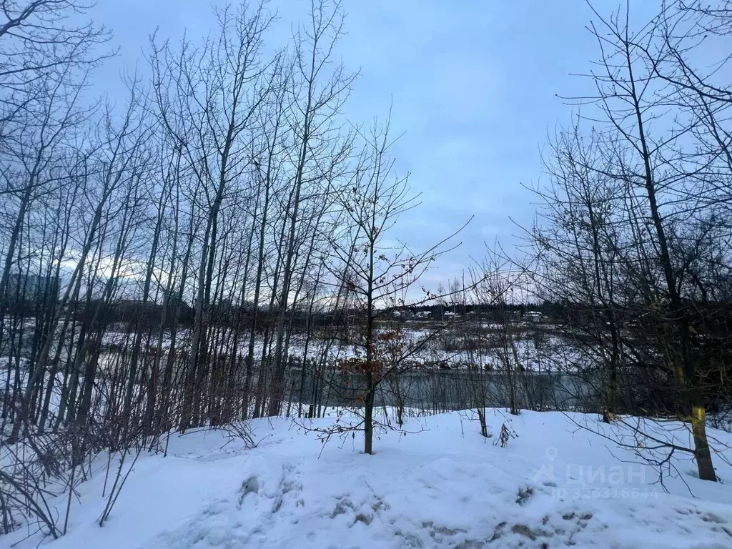 Участок в Московская область, Королев Первый кп, 51 (8.7 сот.) - Фото 2