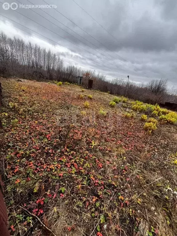 Участок в Стерлитамакский район, Октябрьский сельсовет, СНТ Ясное (13 ... - Фото 2