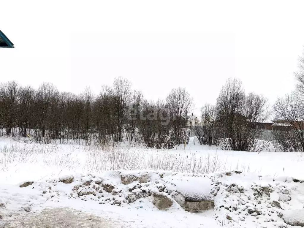 Участок в Вологодская область, Череповецкий район, Тоншаловское с/пос, ... - Фото 0