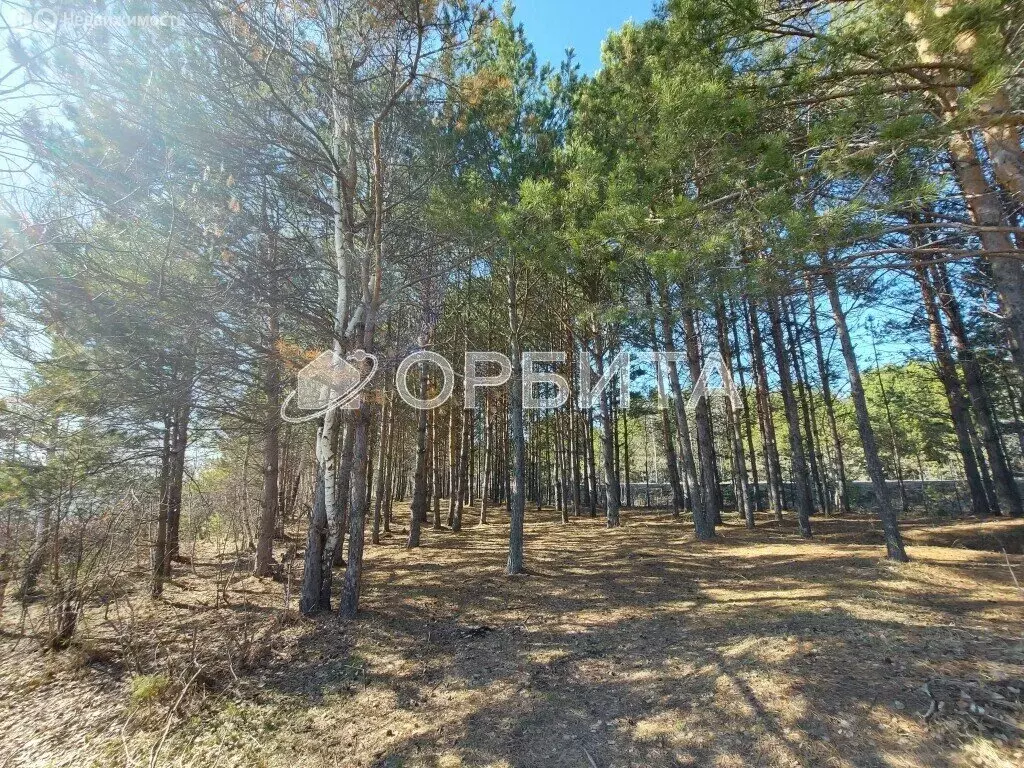 Участок в село Муллаши, Советская улица (13.47 м) - Фото 1