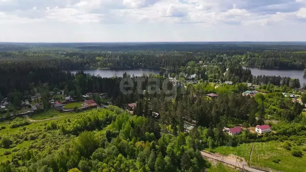 Участок в Ленинградская область, Выборгский район, Рощинское городское ... - Фото 1