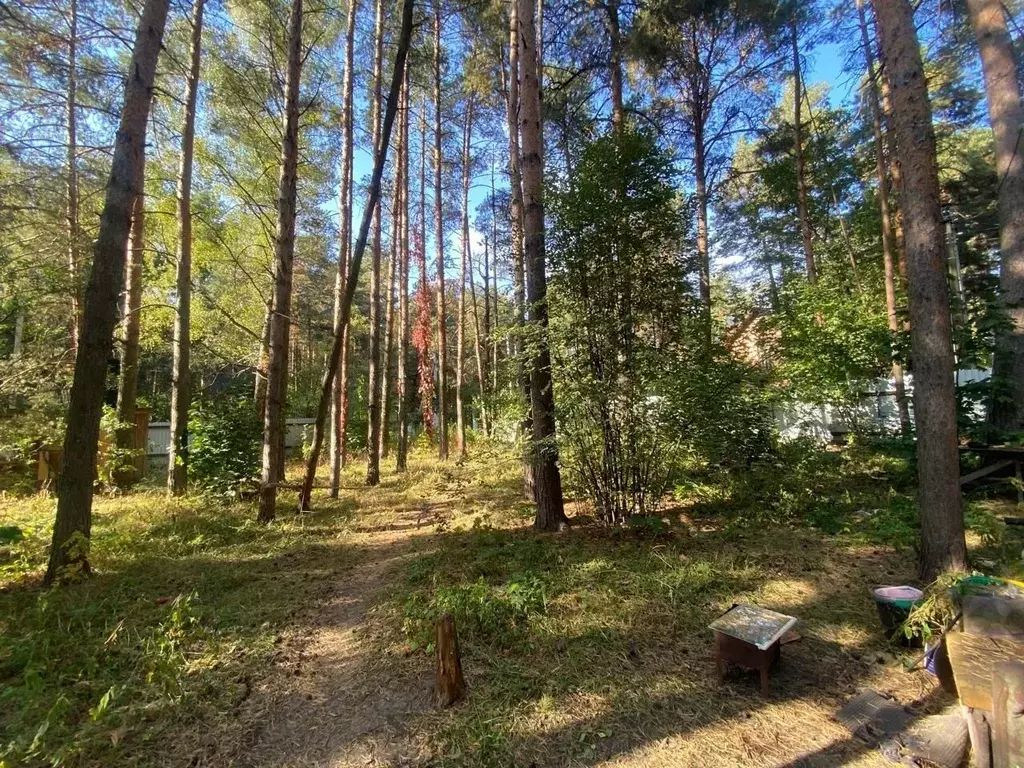 Дом в Московская область, Раменское ул. Сосновый Бор (90 м) - Фото 1