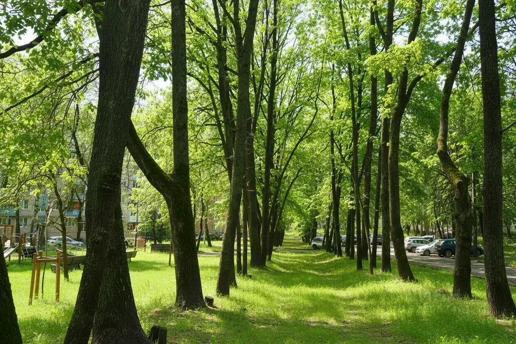2-к кв. Нижегородская область, Нижний Новгород ул. Имени Генерала И.Д. ... - Фото 1