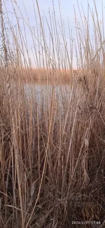Участок в Краснодарский край, Славянский район, Черноерковское с/пос, ... - Фото 2