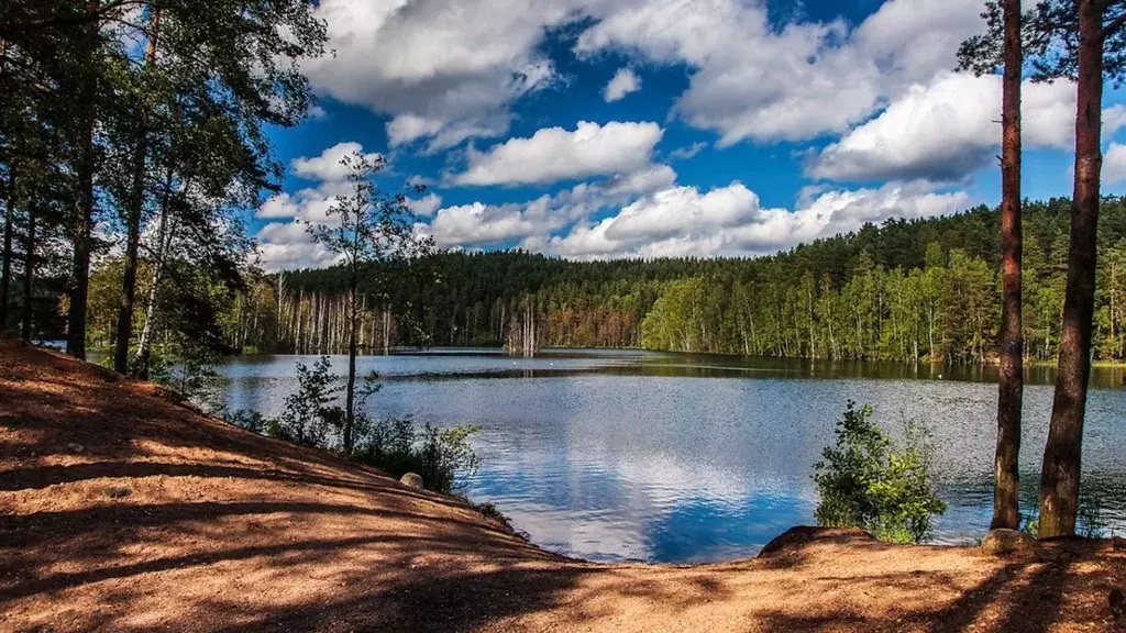 Участок в Тверская область, Западнодвинский район, д. Вережуни  (15.0 ... - Фото 1