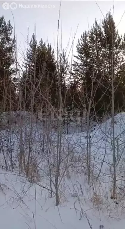 Участок в Улан-Удэ, ДНТ Октябрьское, Петербужская улица (796 м) - Фото 1